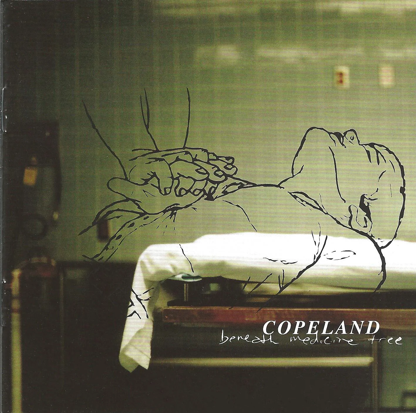 Beneath Medicine Tree