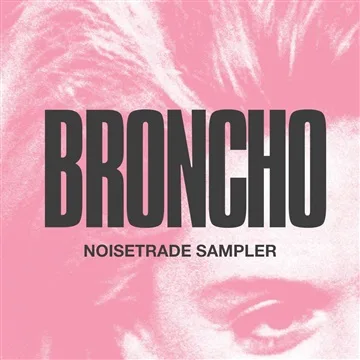 An Introduction to Broncho