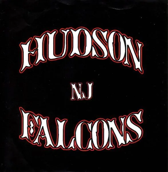Hudson Falcons