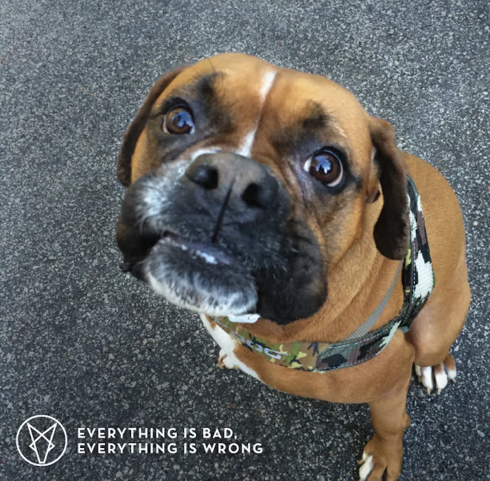 Everything Is Bad, Everything Is Wrong