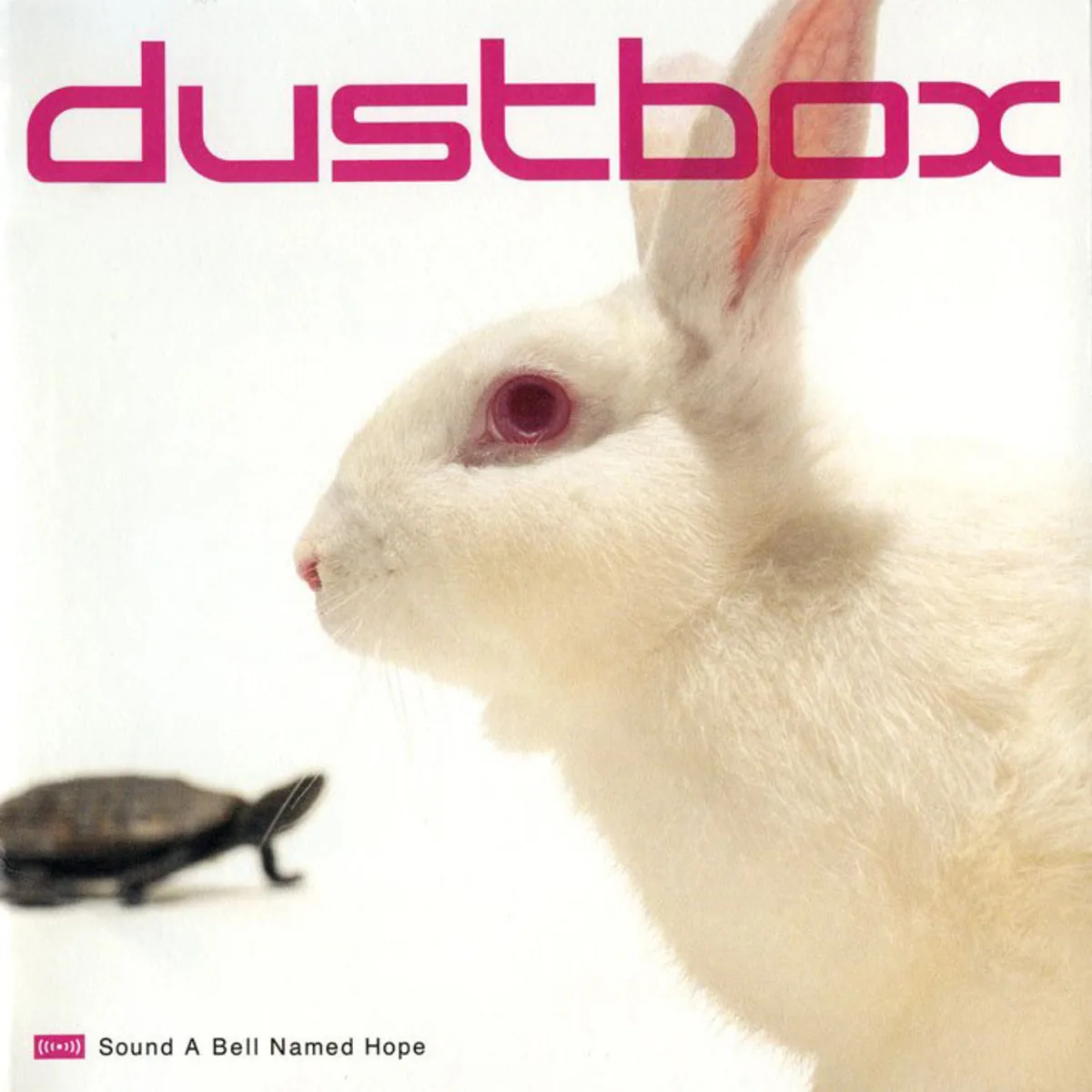 dustbox