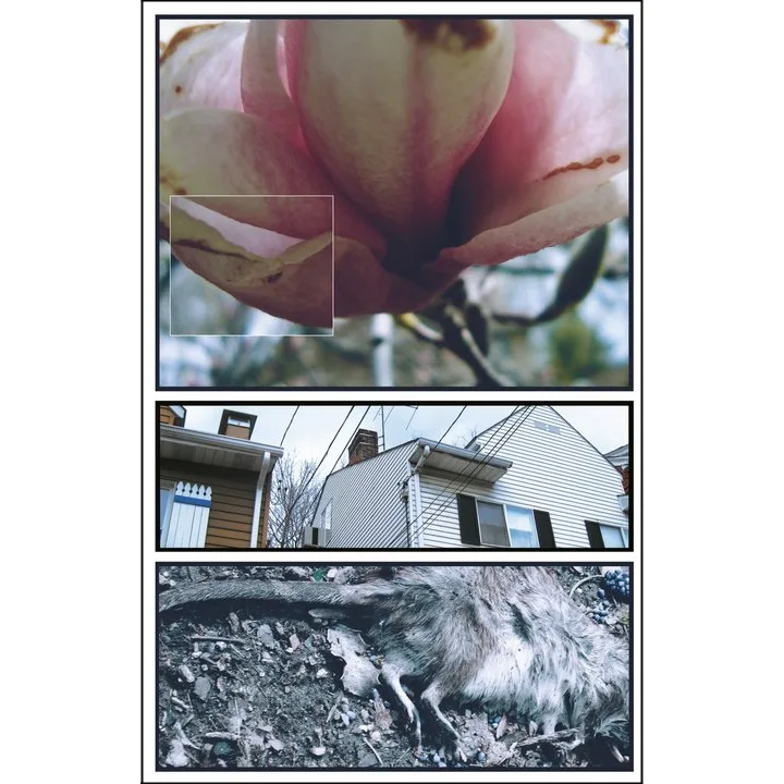 Embrace Me // Erase Me