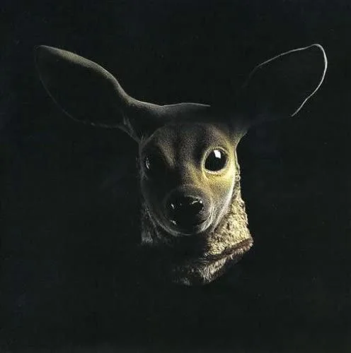 Keep Me on Your Side