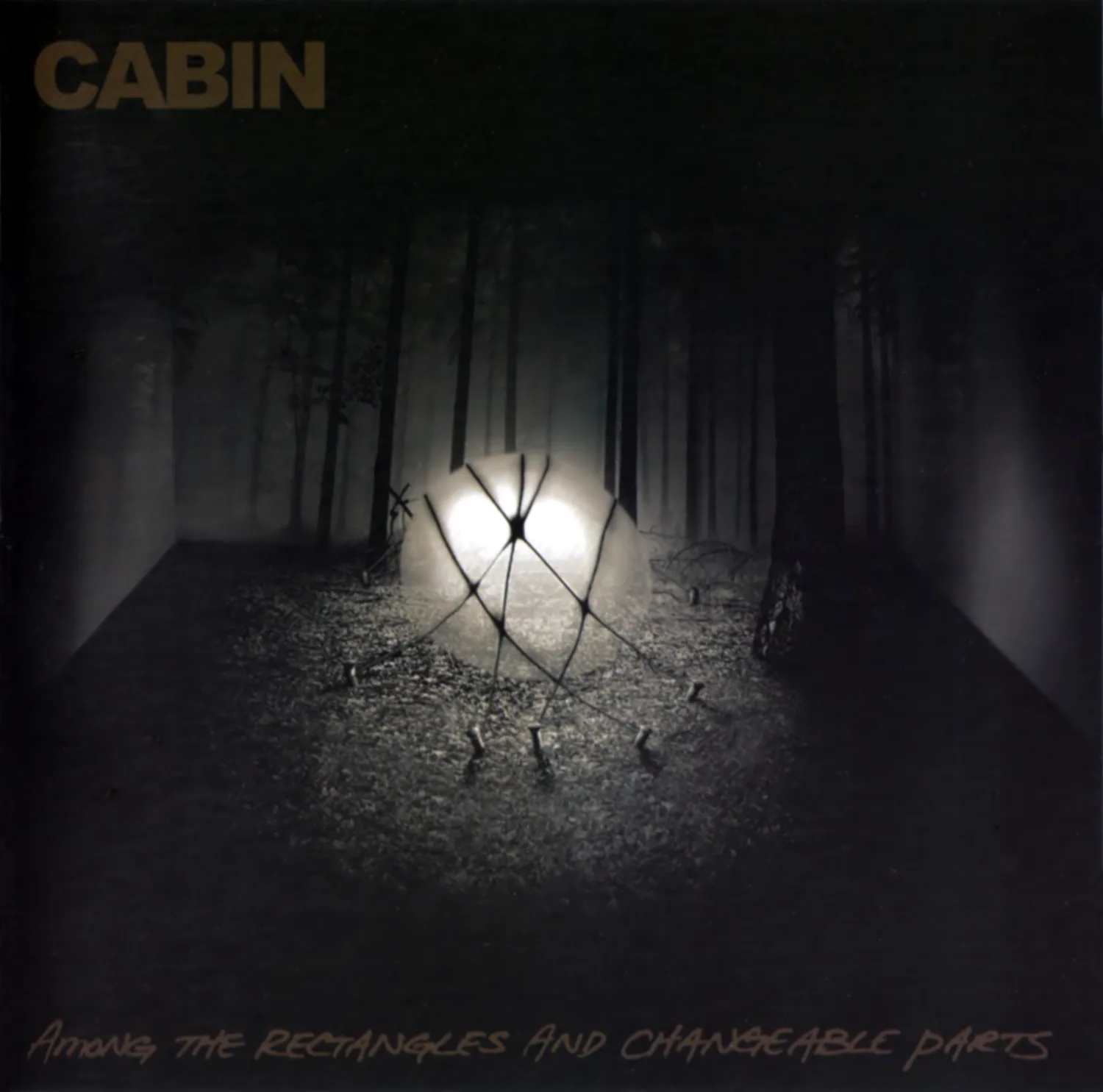 Among the Rectangles and Changeable Parts