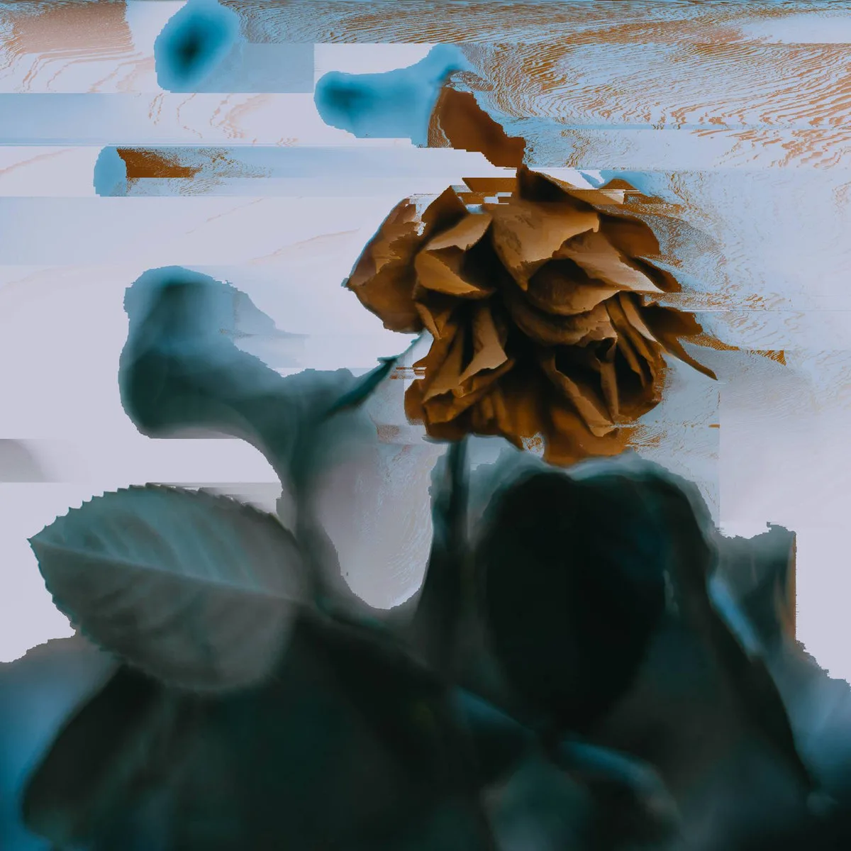 I Just Needed A Little Time