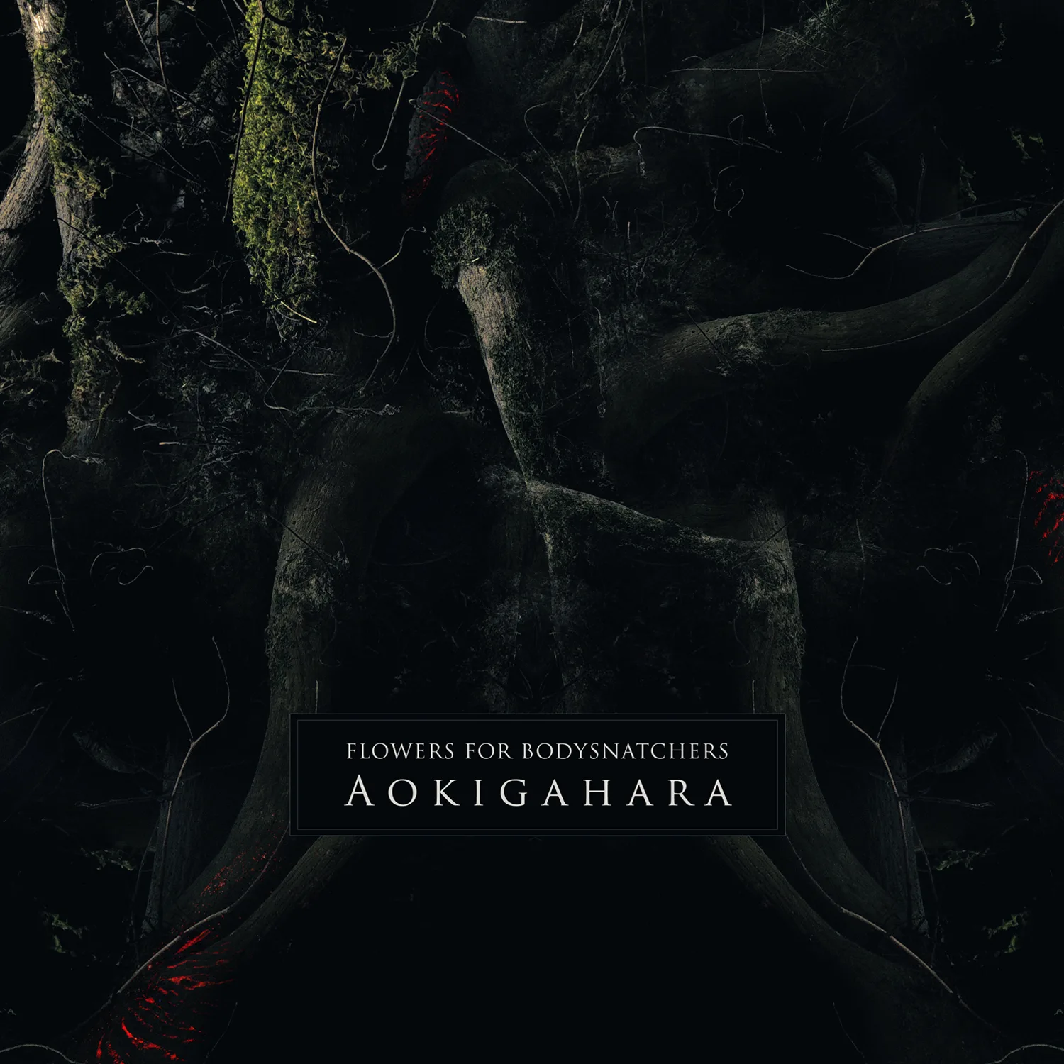 Aokigahara