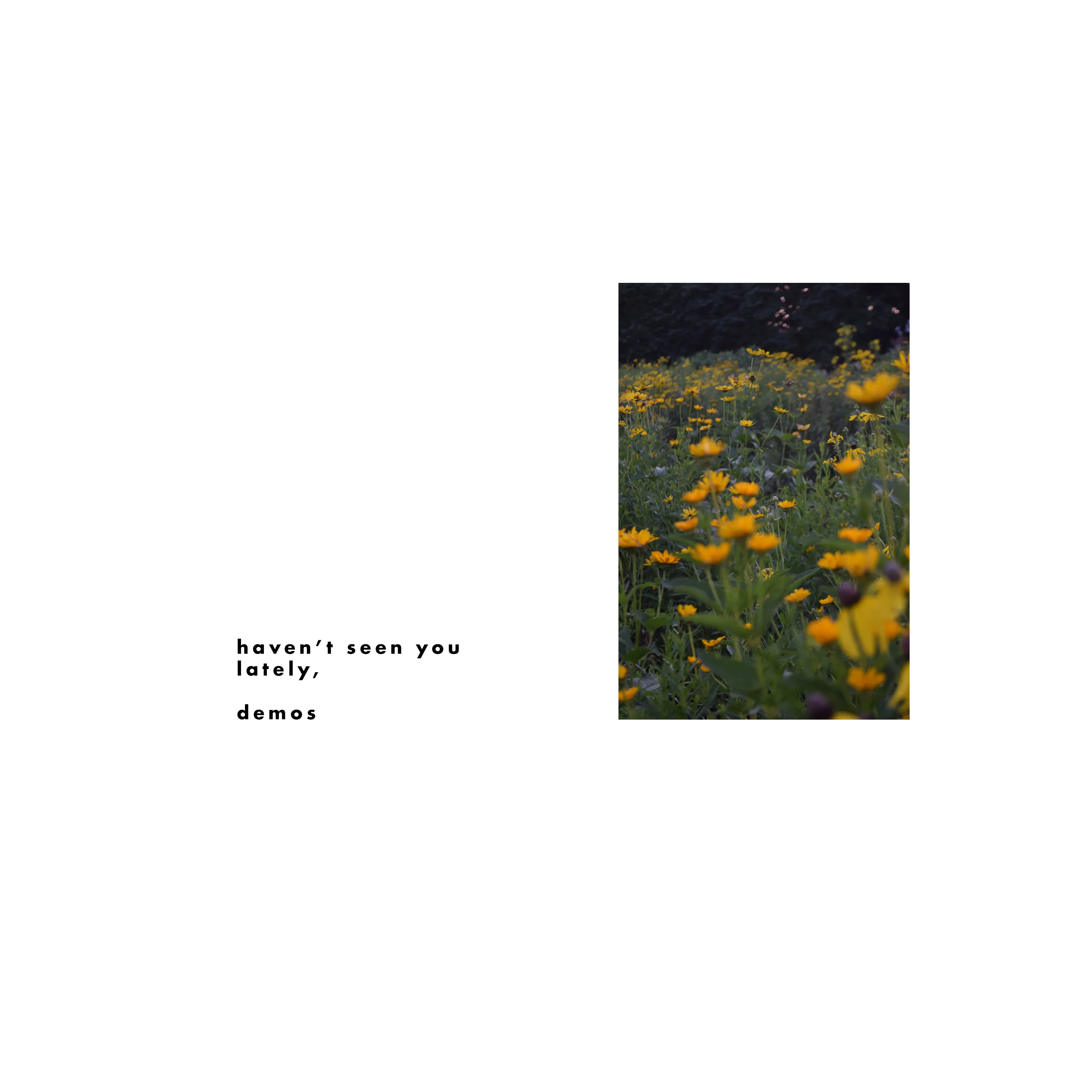 Haven't Seen You Lately, Demos