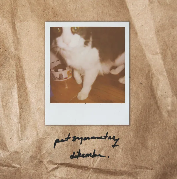 Pet Symmetry / Dikembe