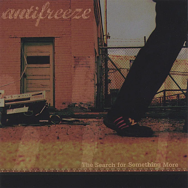 The Search for Something More