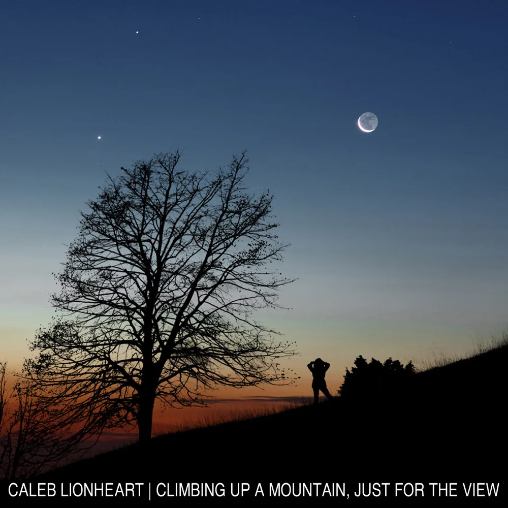 Climbing Up a Mountain, Just for the View