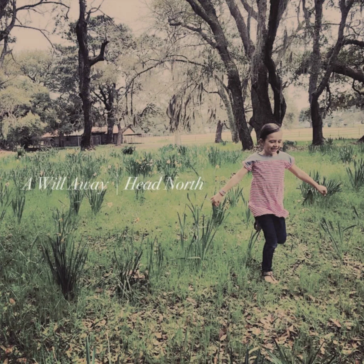 A Will Away / Head North Split