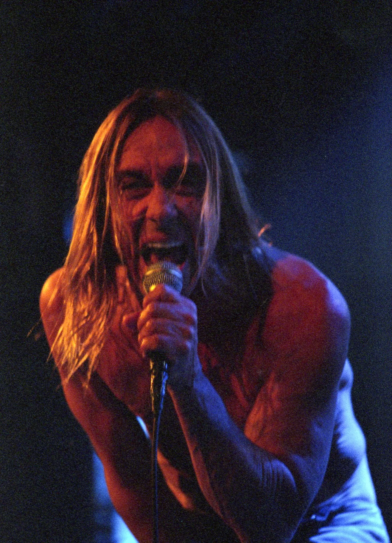 Iggy Pop