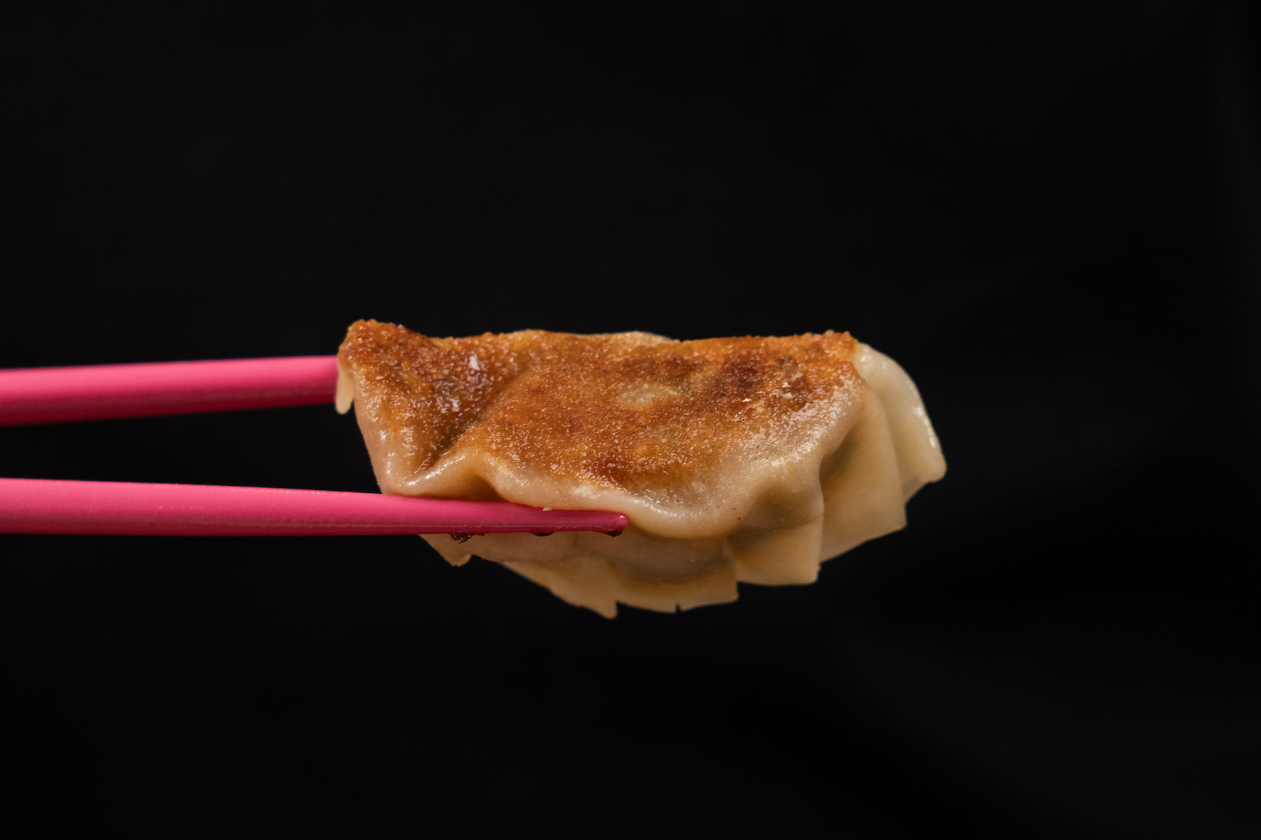 Pumpkin and miso potstickers
