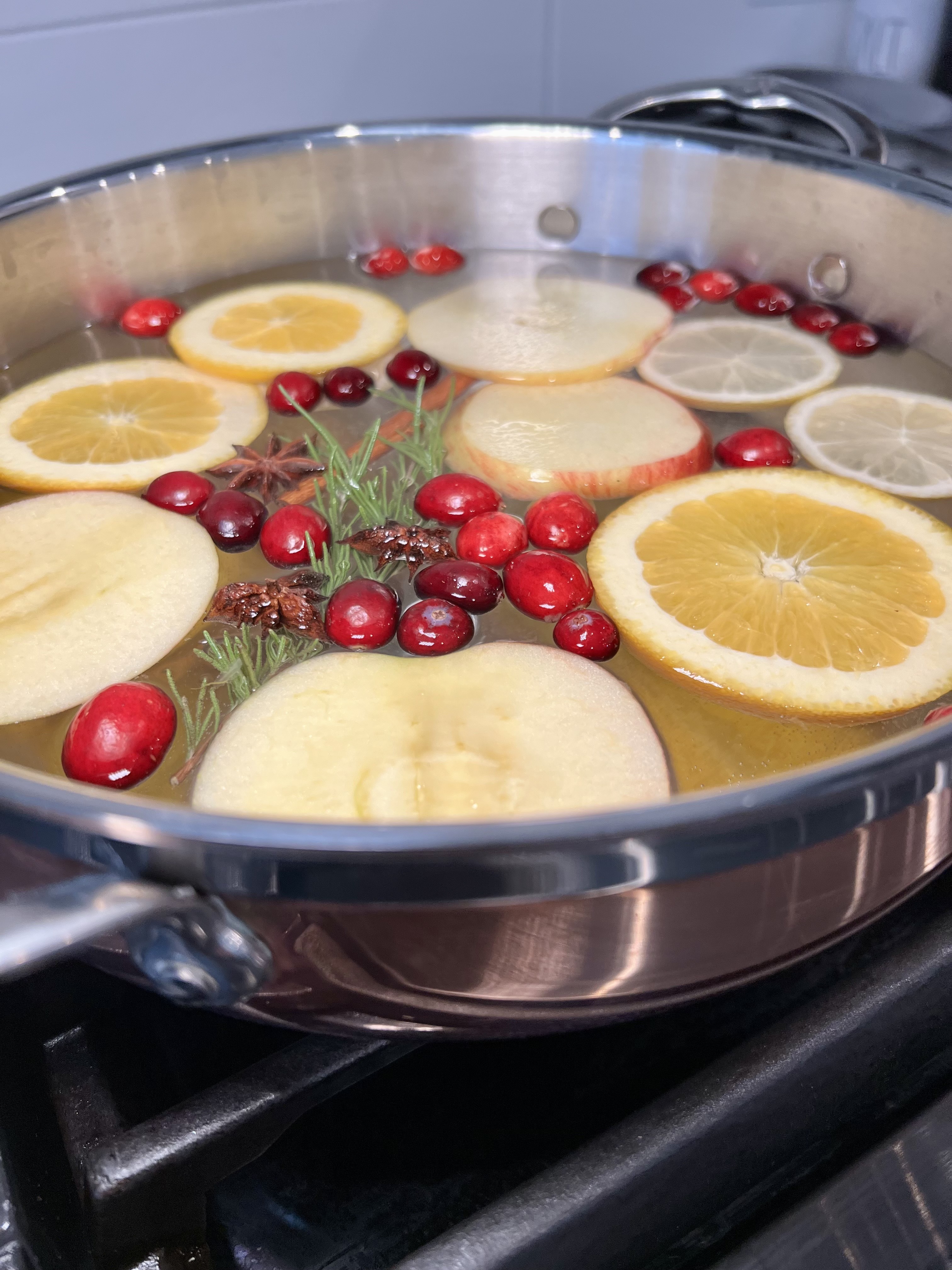 Holiday Simmer Pot