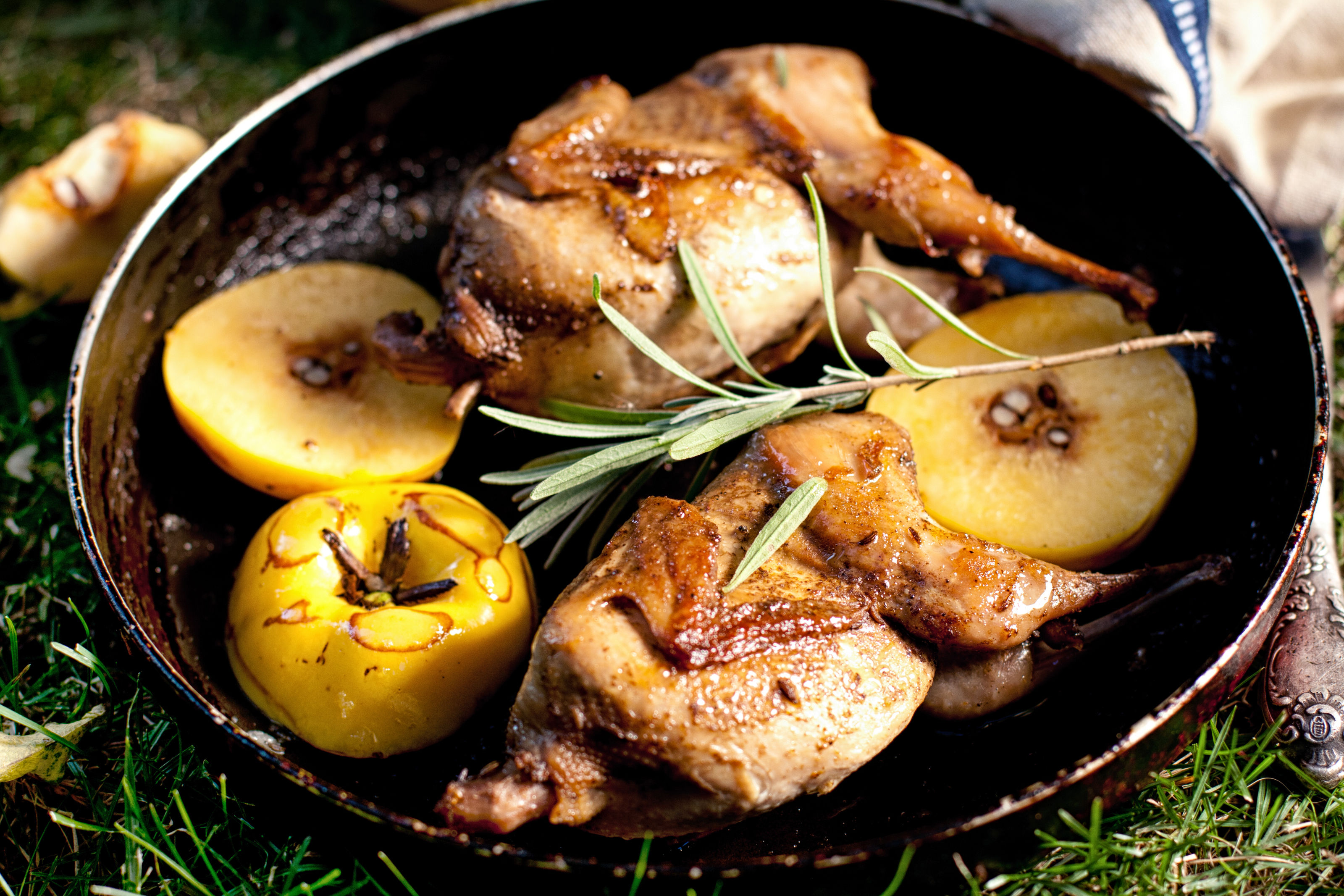 Pheasant and Apple Stew