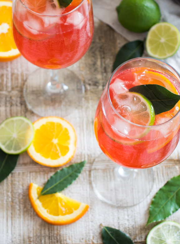 Hibiscus Spritzer