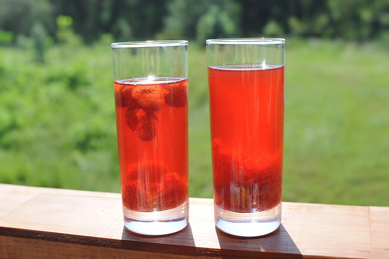 Rhubarb and Strawberry Kompote