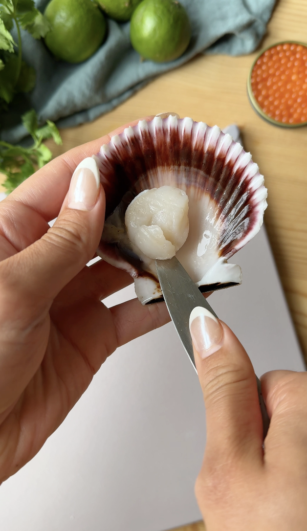 Image of Carefully remove your scallop from the shell with a sharp...