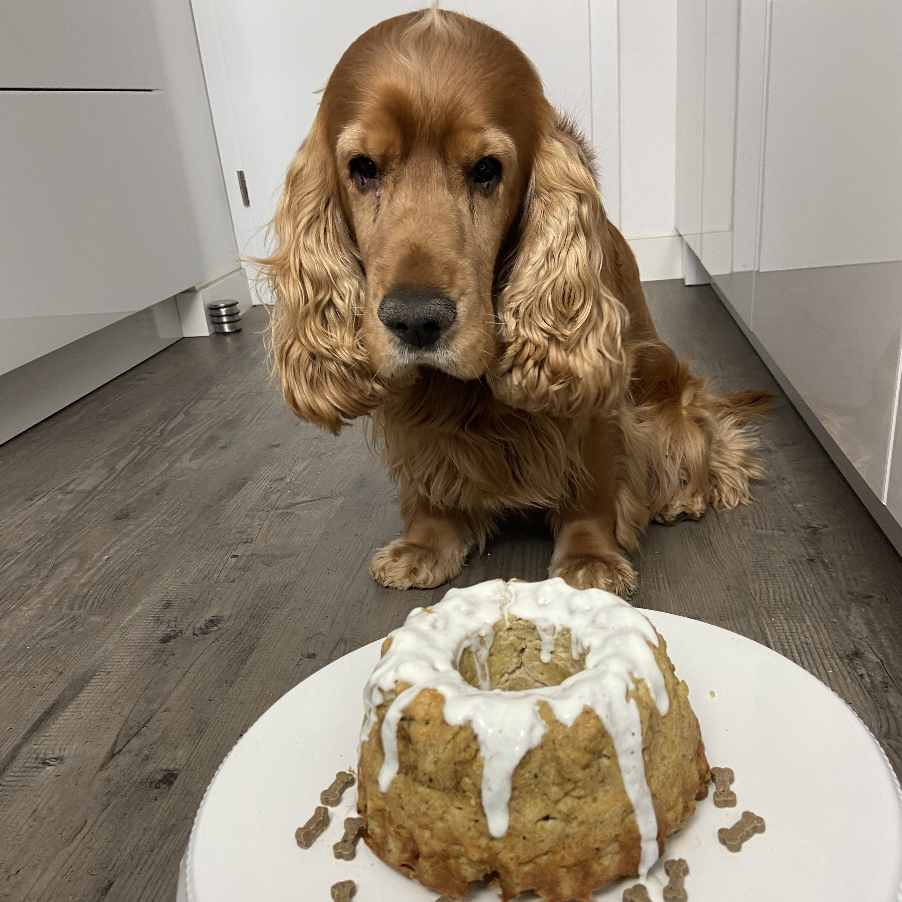 Image of Ist der Kuchen abgekühlt, so kannst du ihn vorsichtig aus...