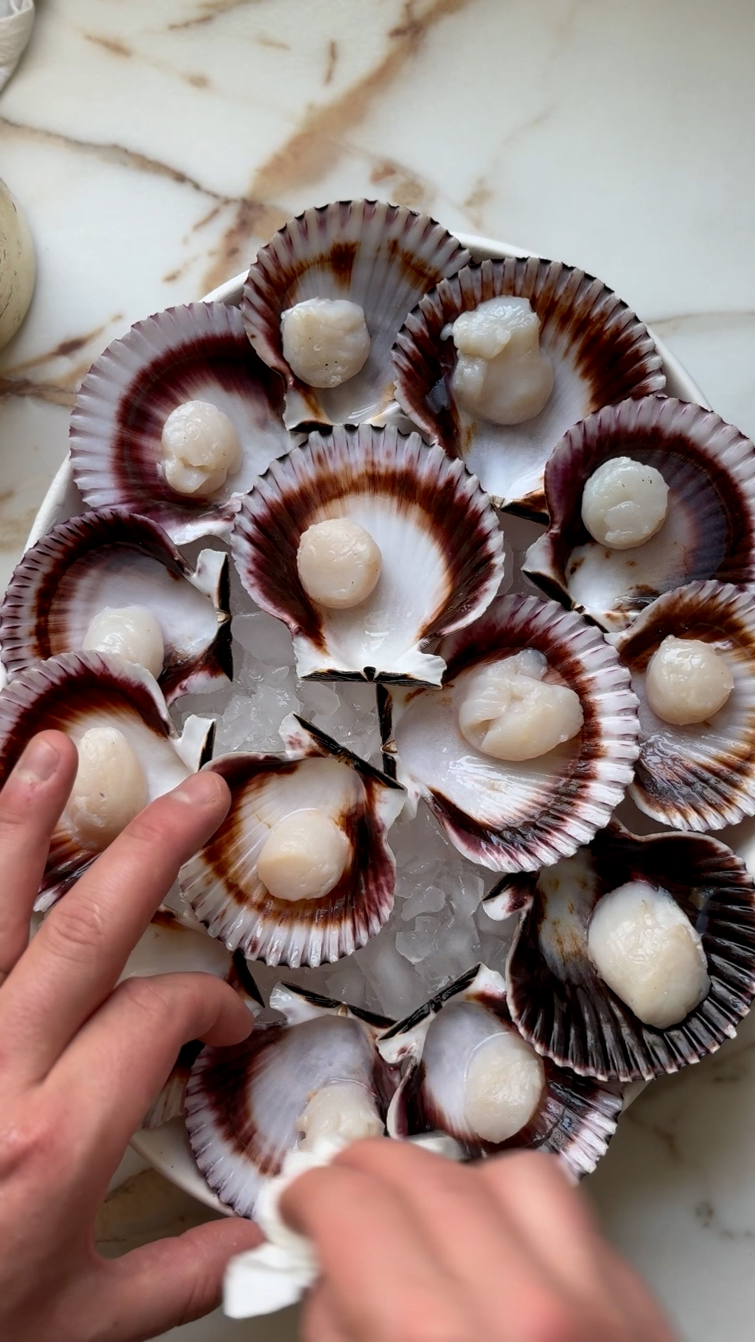 Image of Prepare the scallops: Arrange the Peruvian scallops on a serving...