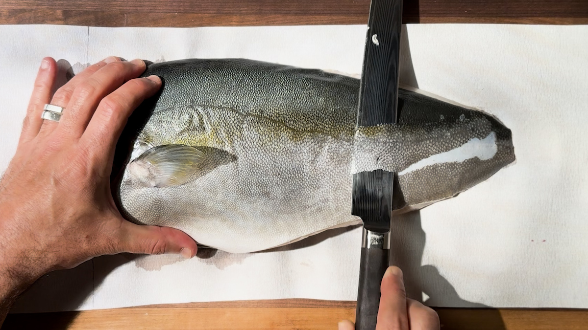 Image of Scale the fish: Use a sharp knife to carefully remove...