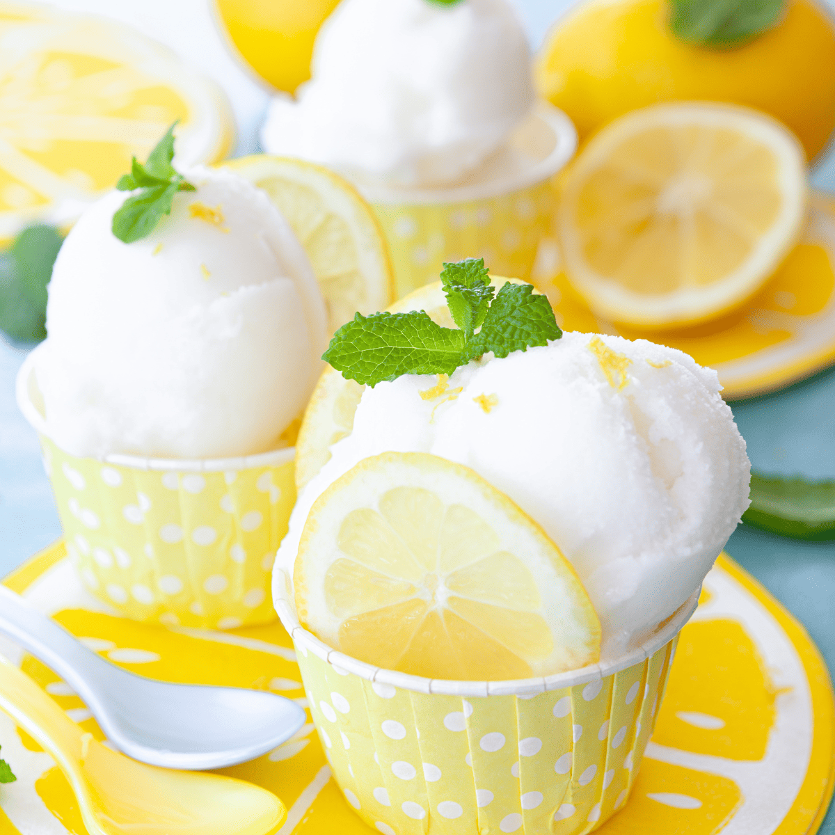 Lemony Herb Sorbet – SharkNinja Thailand