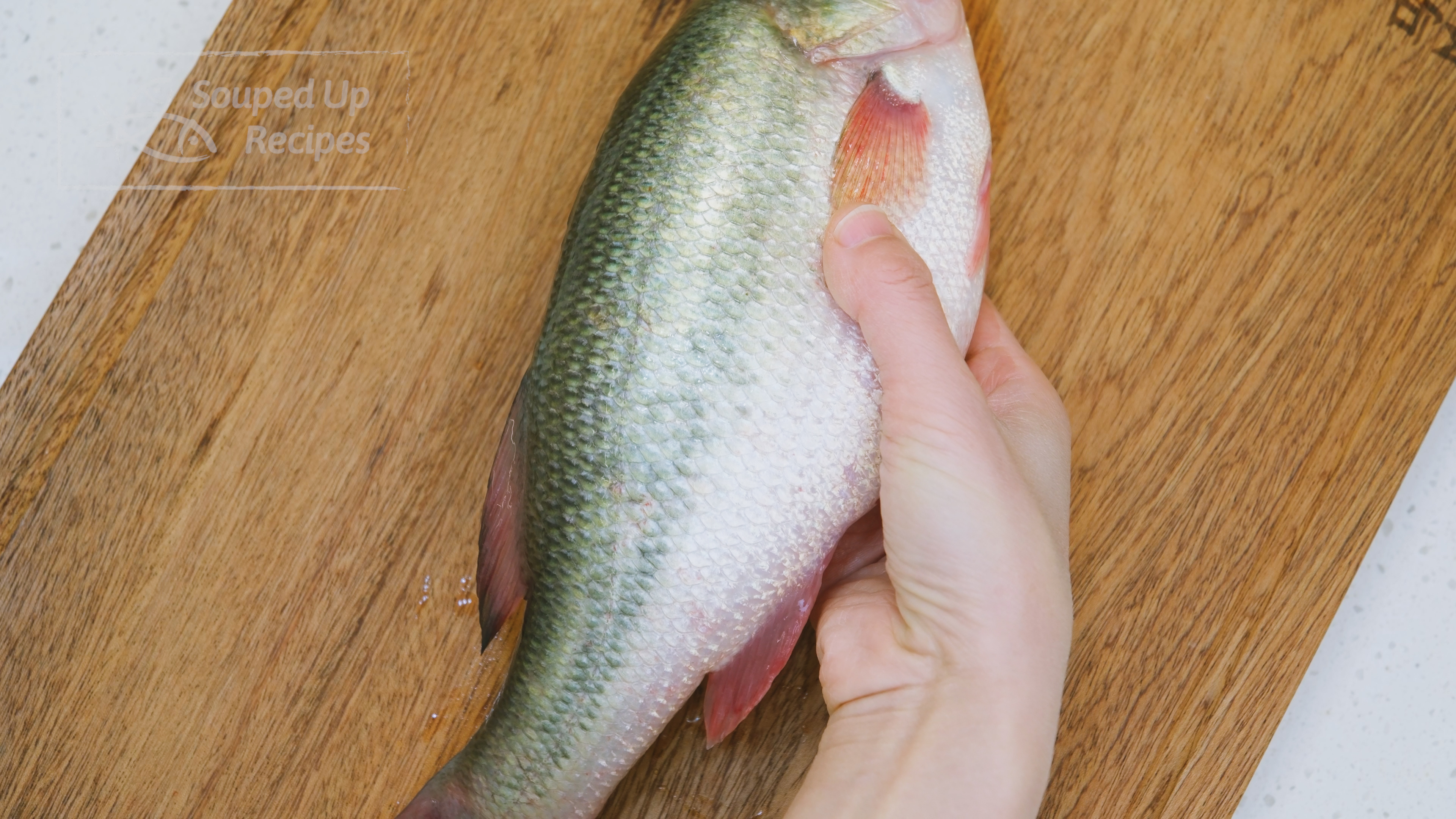 Image of It is crucial to pick a smaller fish, around 1.2-1.8...