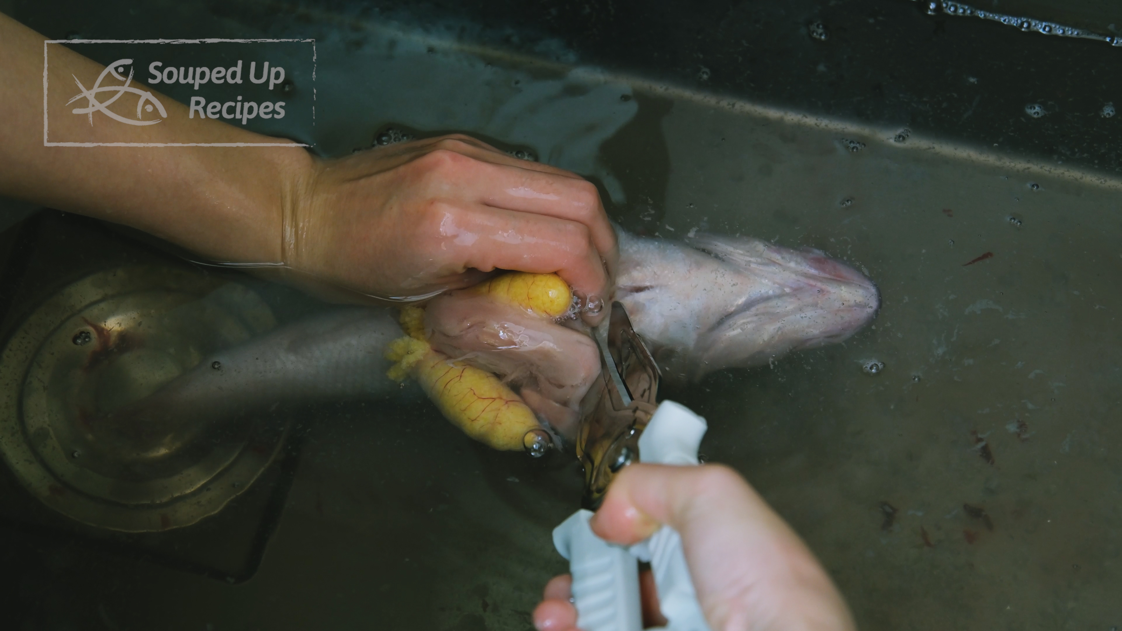 Image of Use a pair of scissors to cut the fish belly...