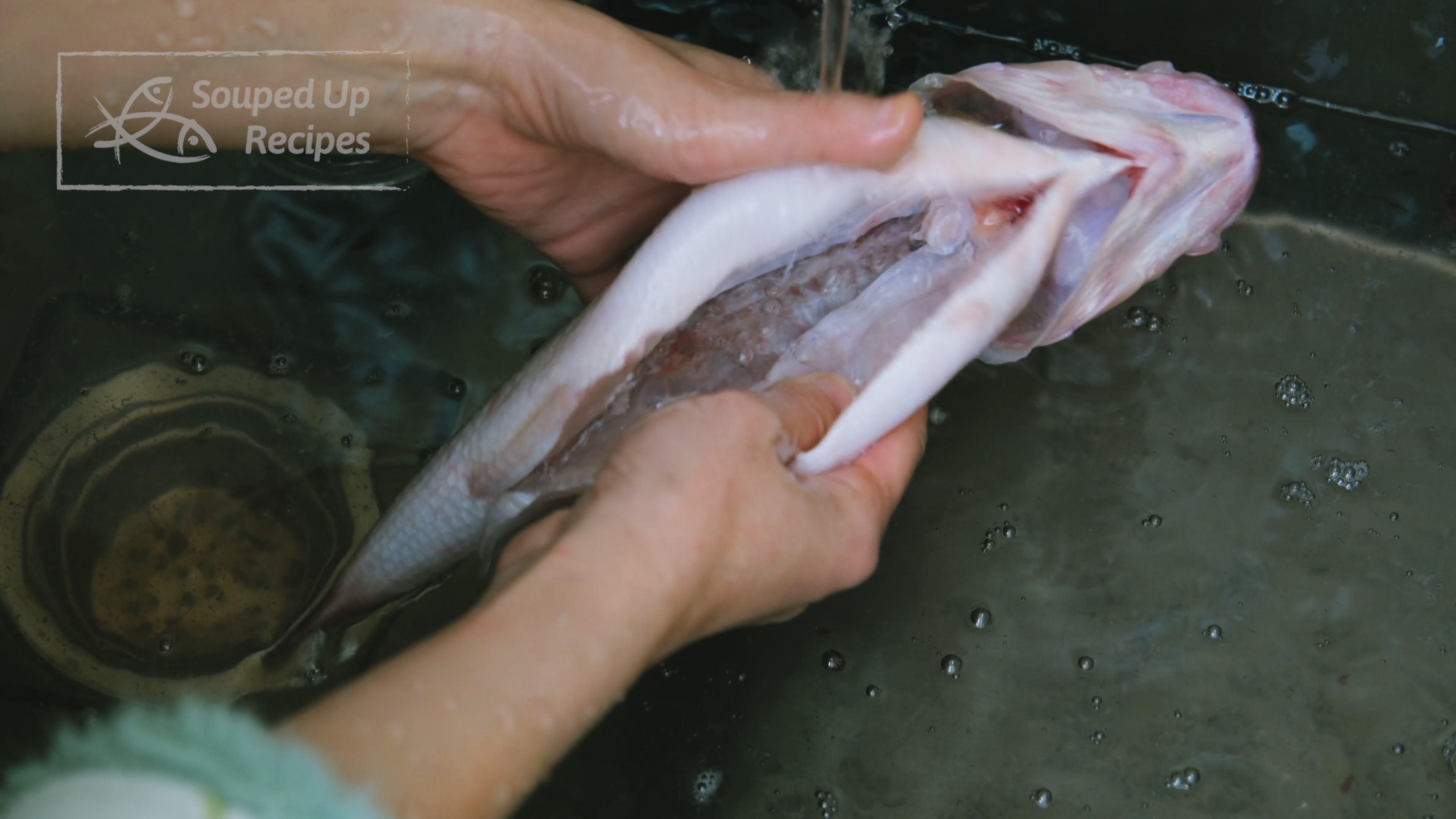 Image of Rinse the fish with cold water several times or until...