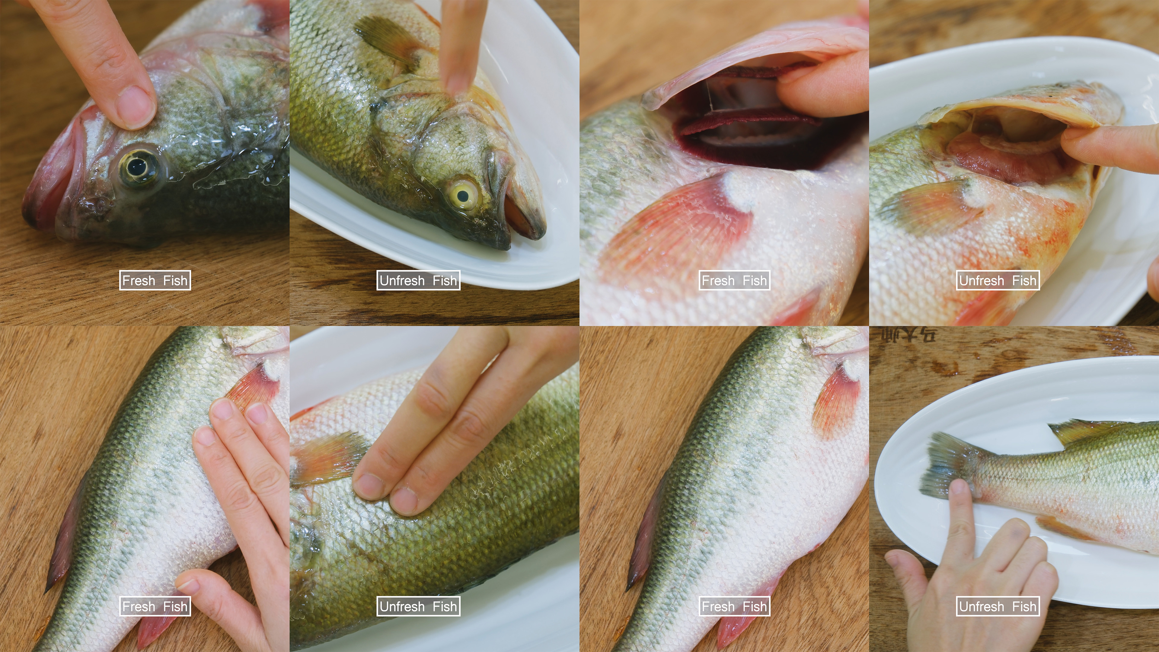 Image of A fresh fish should have a clean smell; clear, shiny...