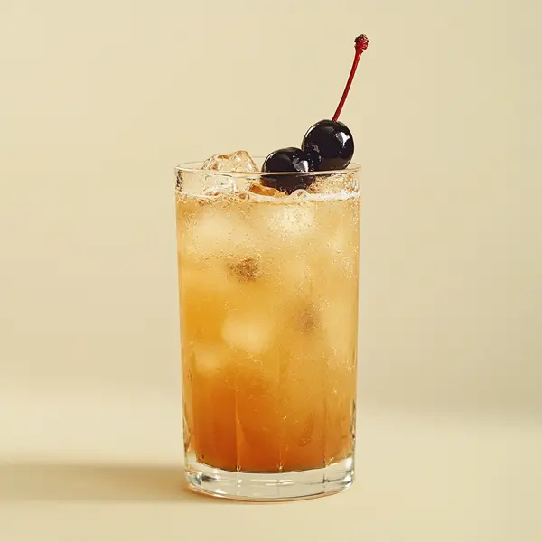 A photo of the Rye & Shine cocktail containing Willett Family Estate Bottled 4 Year Rye, Tempus Fugit Kina L'Aero d'Or, Amaro Nonino Quintessentia, Three Cents Ginger Beer in a Collins.