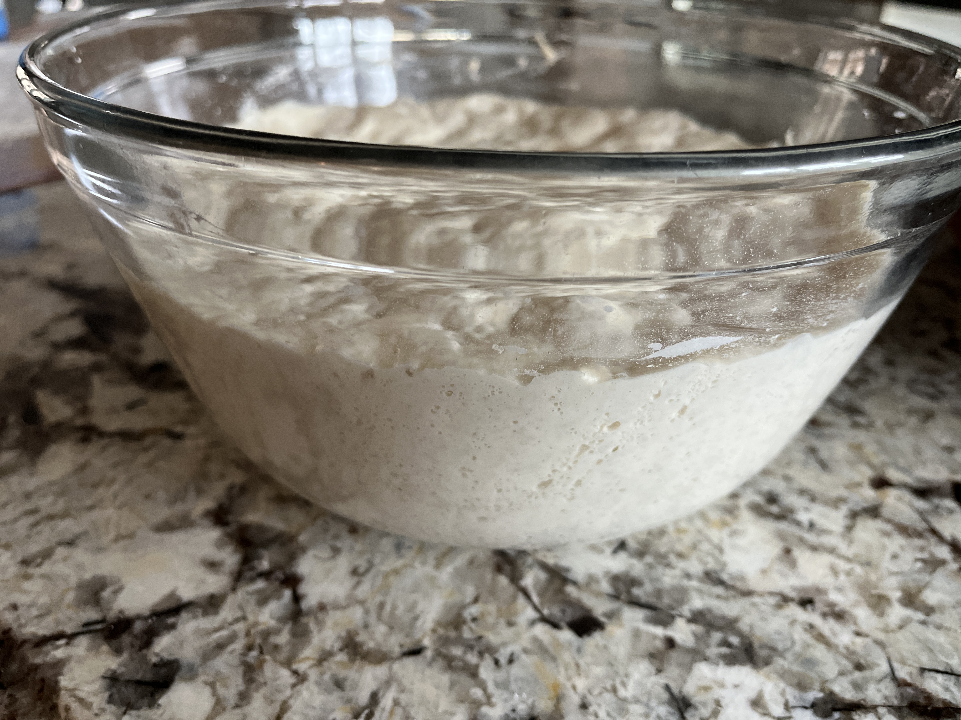 Image of Cover again and place in a warm spot for 5...