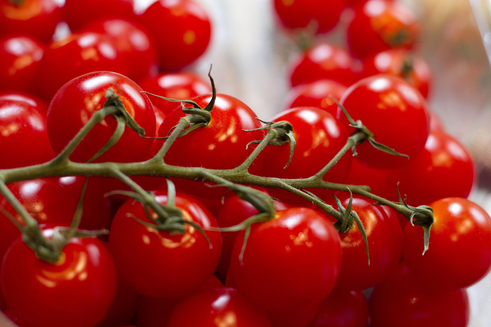 Image of Place the grape tomato pieces, avocado slices, and a small...