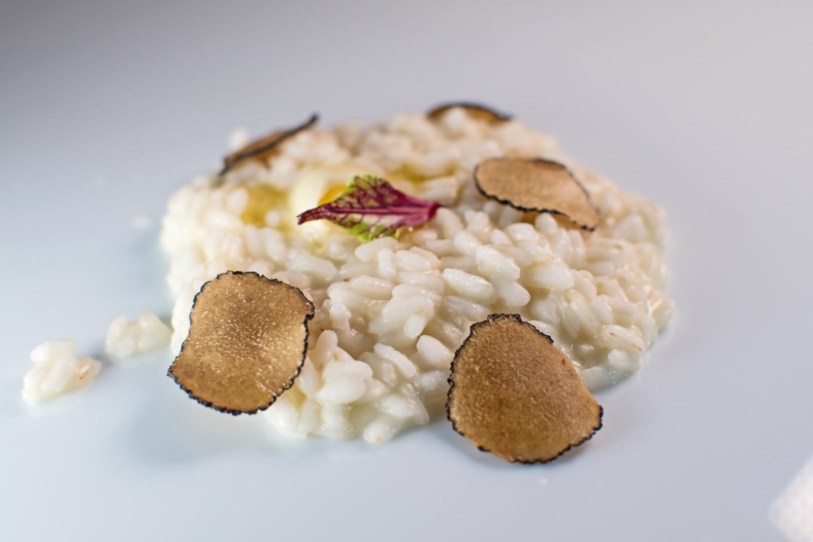 Risotto with Black Lyophilized Truffles