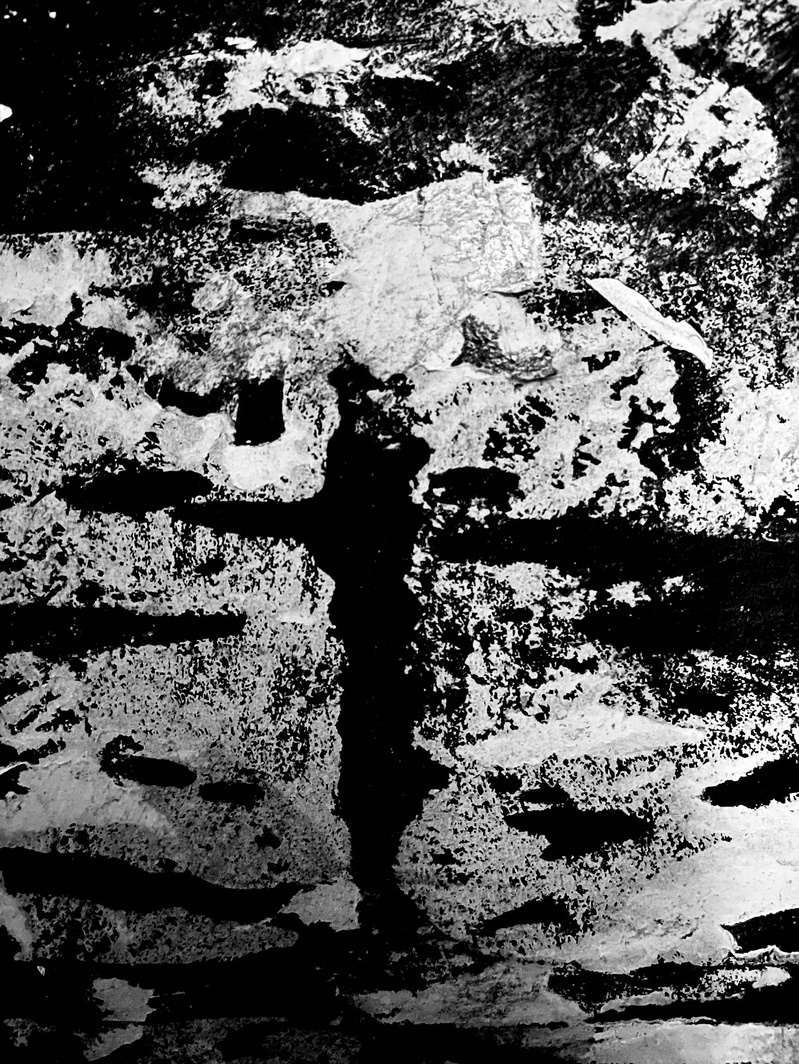 Official album cover art for the release s/∞ 02 by Tasaday