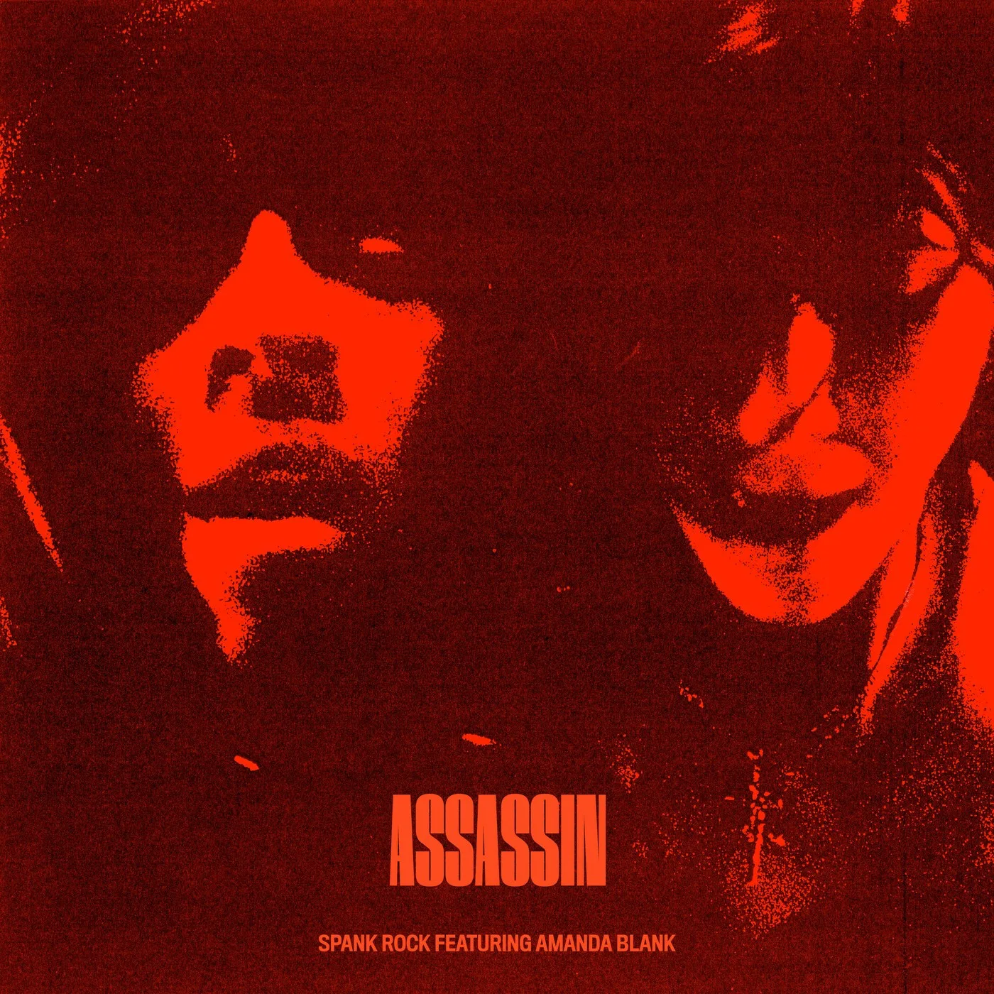 Official album cover art for the release Assassin by Spank Rock