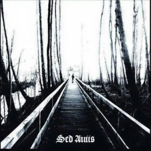 Official album cover art for the release Sed Auiis by Chiral
