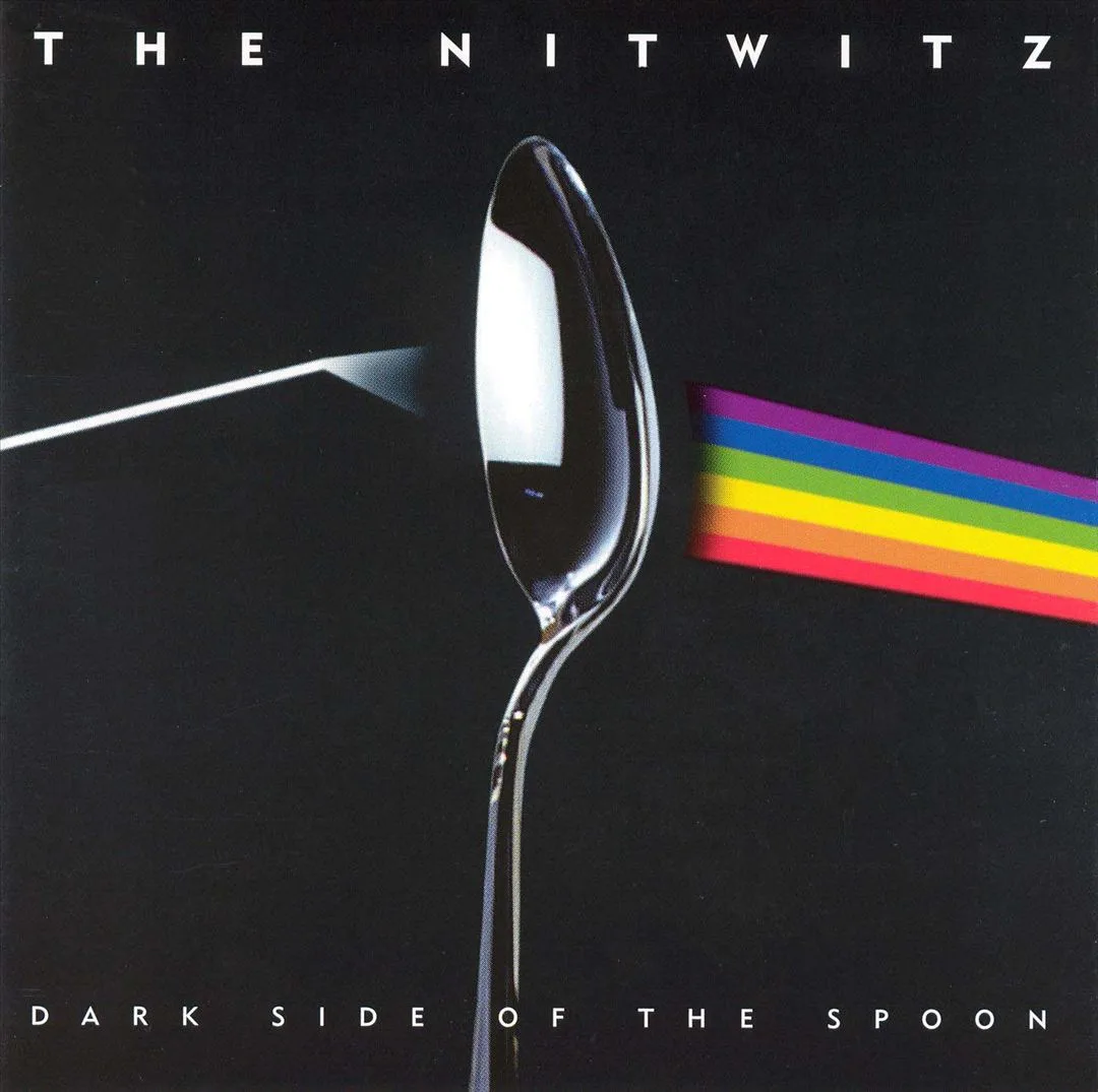 Official album cover art for the release The Dark Side of the Spoon by The Nitwitz