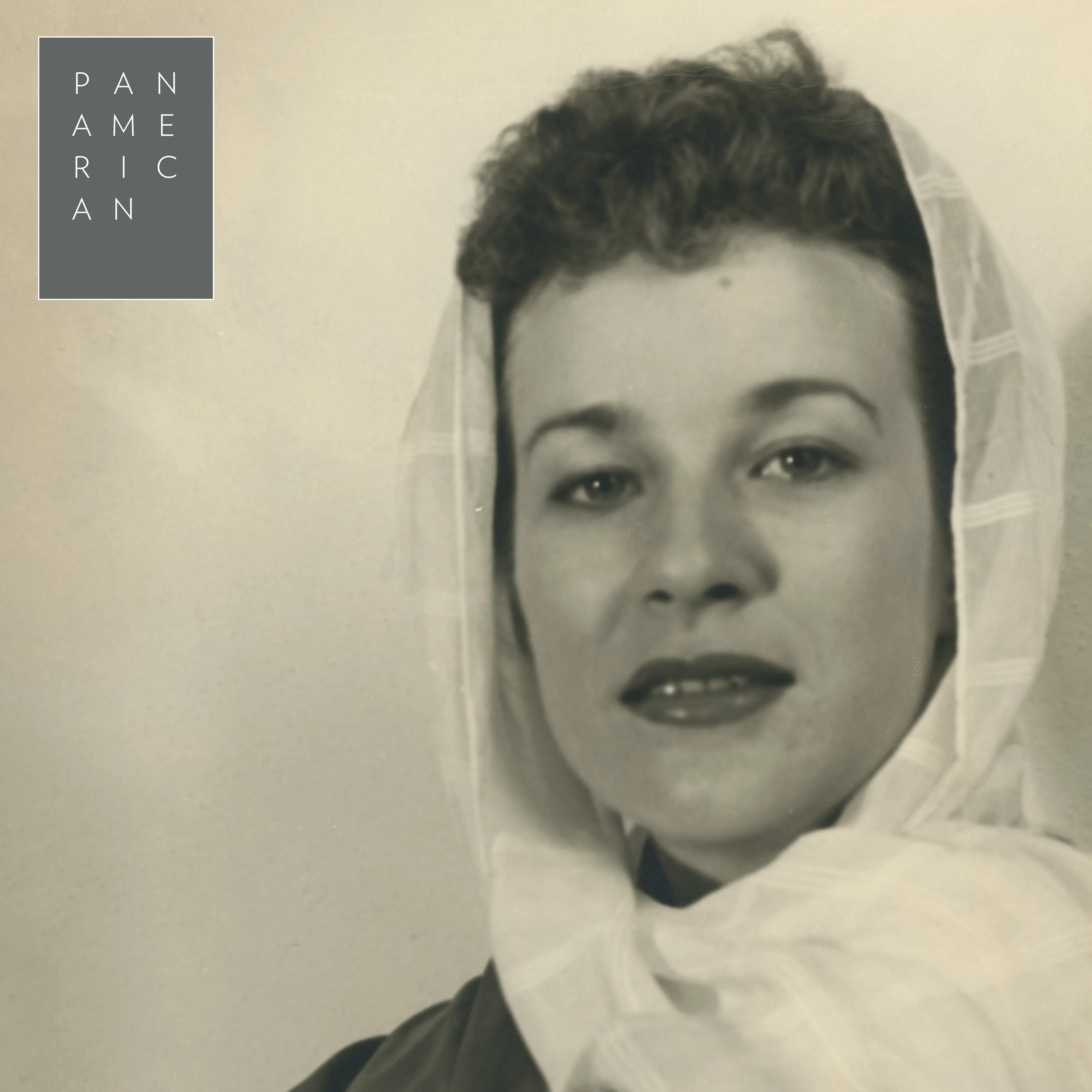 Official album cover artwork for Fly the Ocean in a Silver Plane by Pan•American