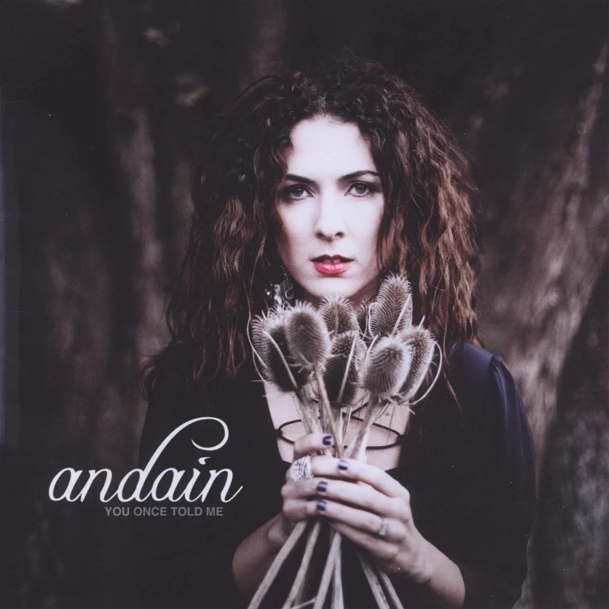 Official album cover art for the release You Once Told Me by Andain
