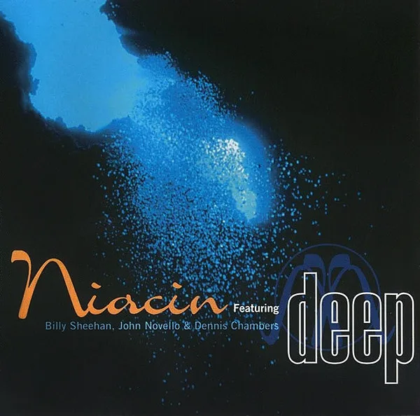 Official album cover art for the release Deep by Niacin