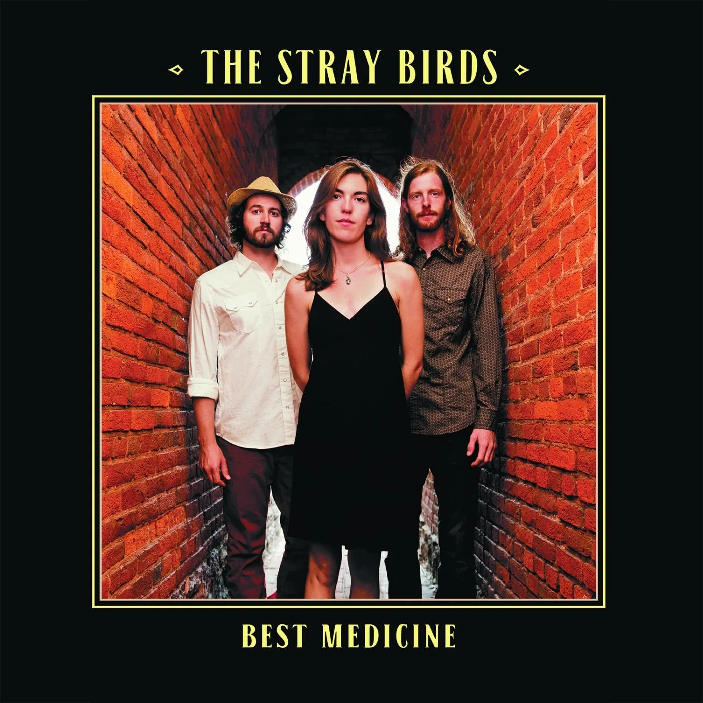 Official album cover art for the release Best Medicine by The Stray Birds