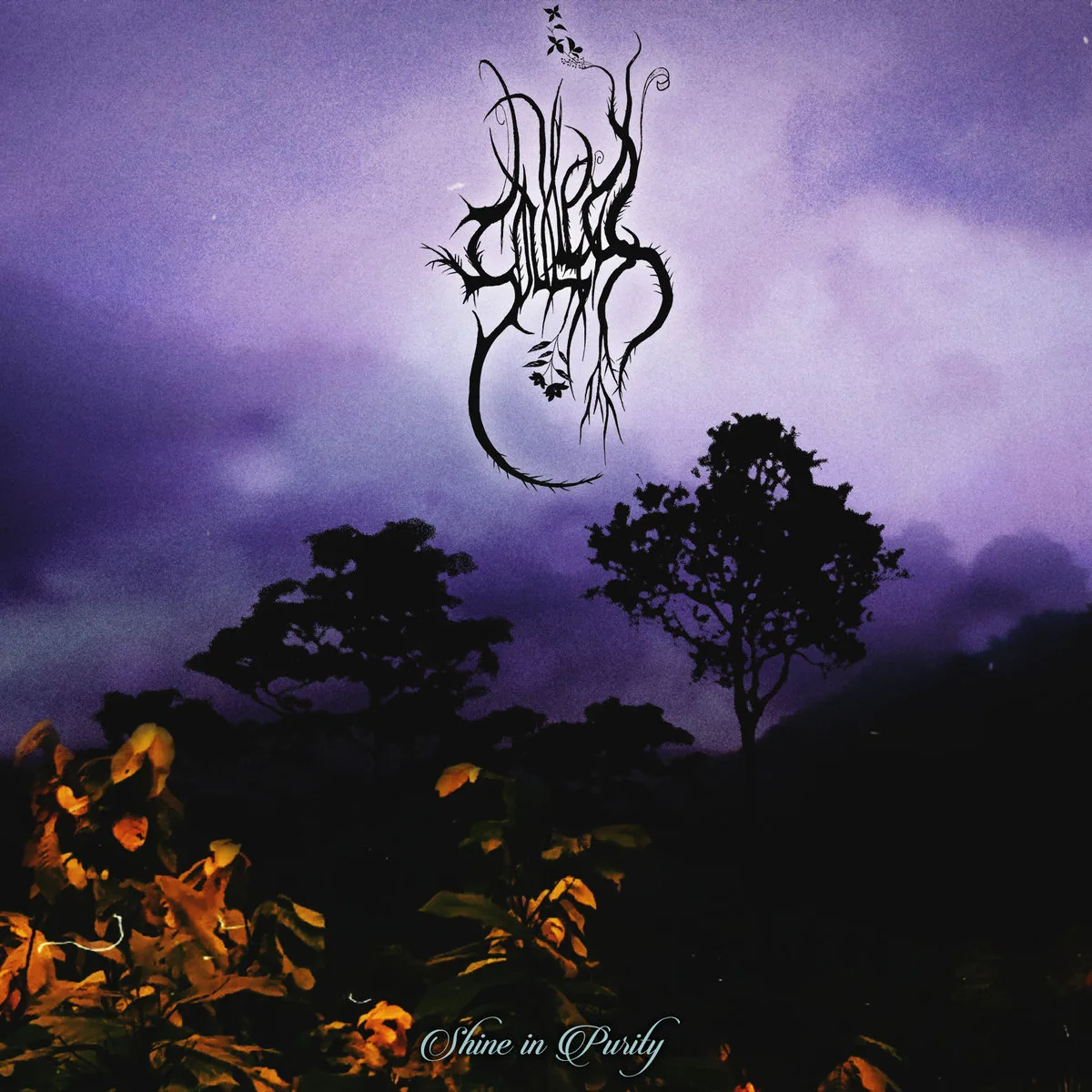 Official album cover art for the release Shine in Purity by Soulless