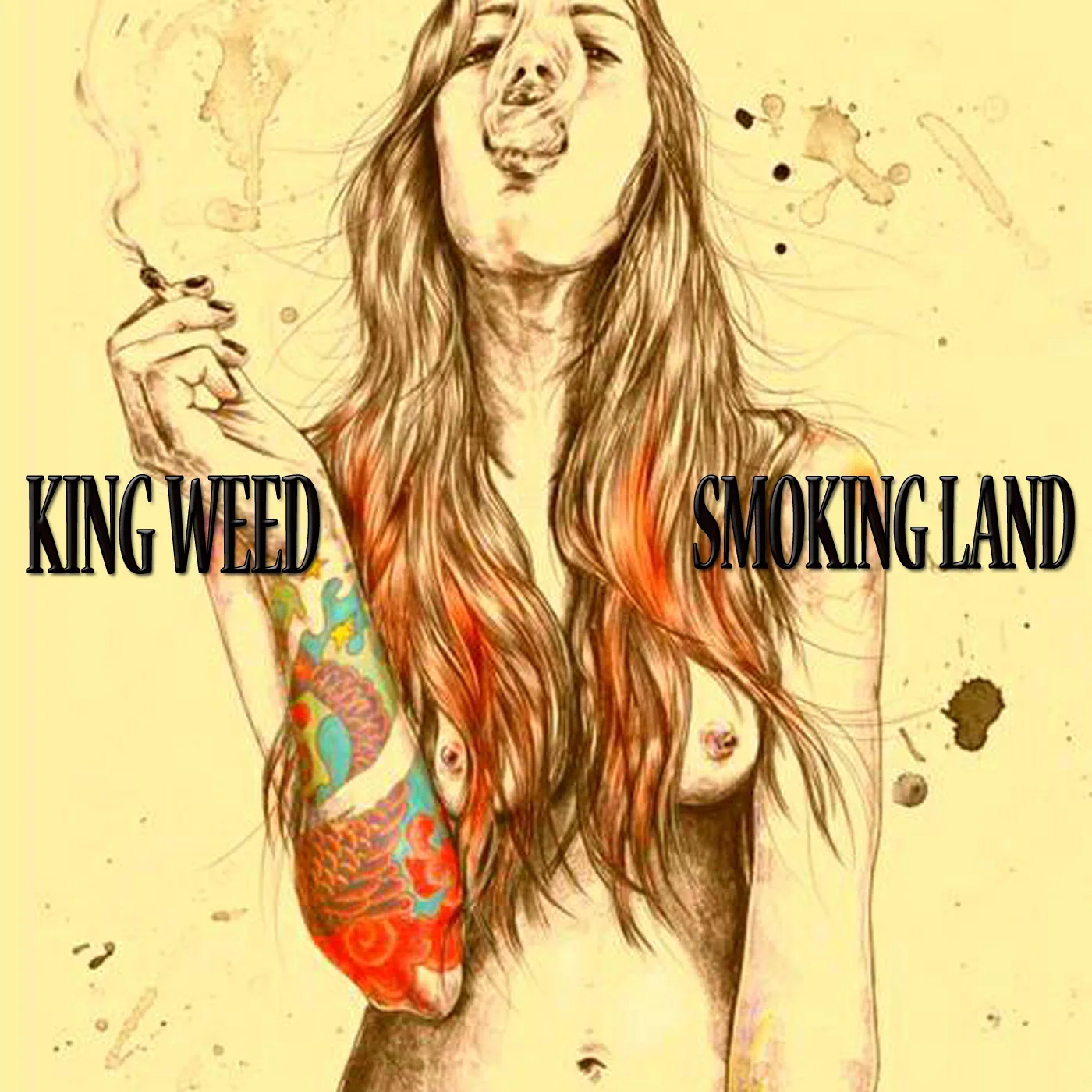 Official album cover artwork for Smoking Land by King Weed