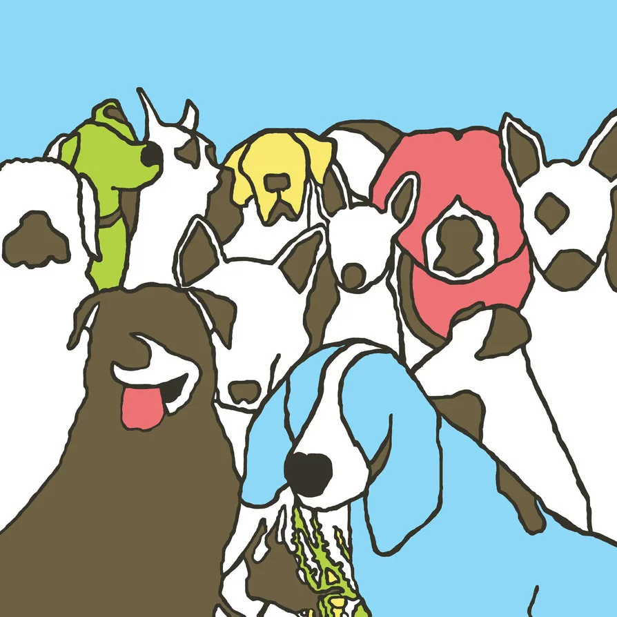Official album cover art for the release 1653 by Bear vs. Shark