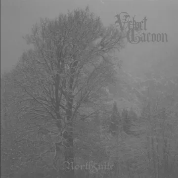 Official album cover art for the release Northsuite by Velvet Cacoon