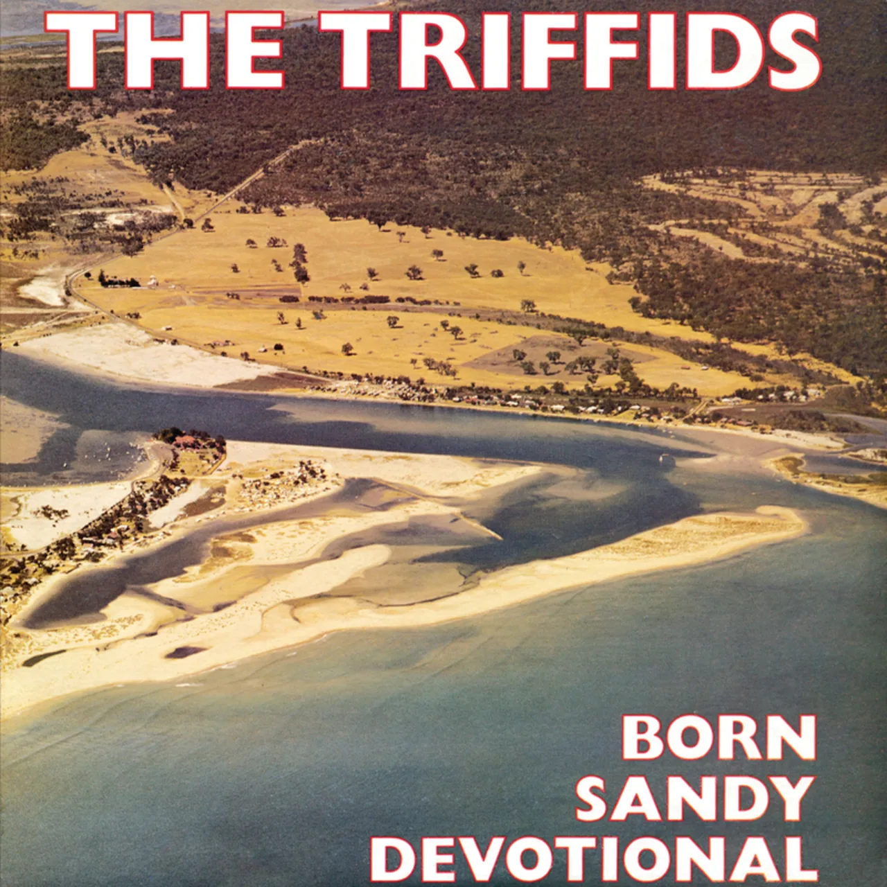 Official album cover art for the release Born Sandy Devotional by The Triffids
