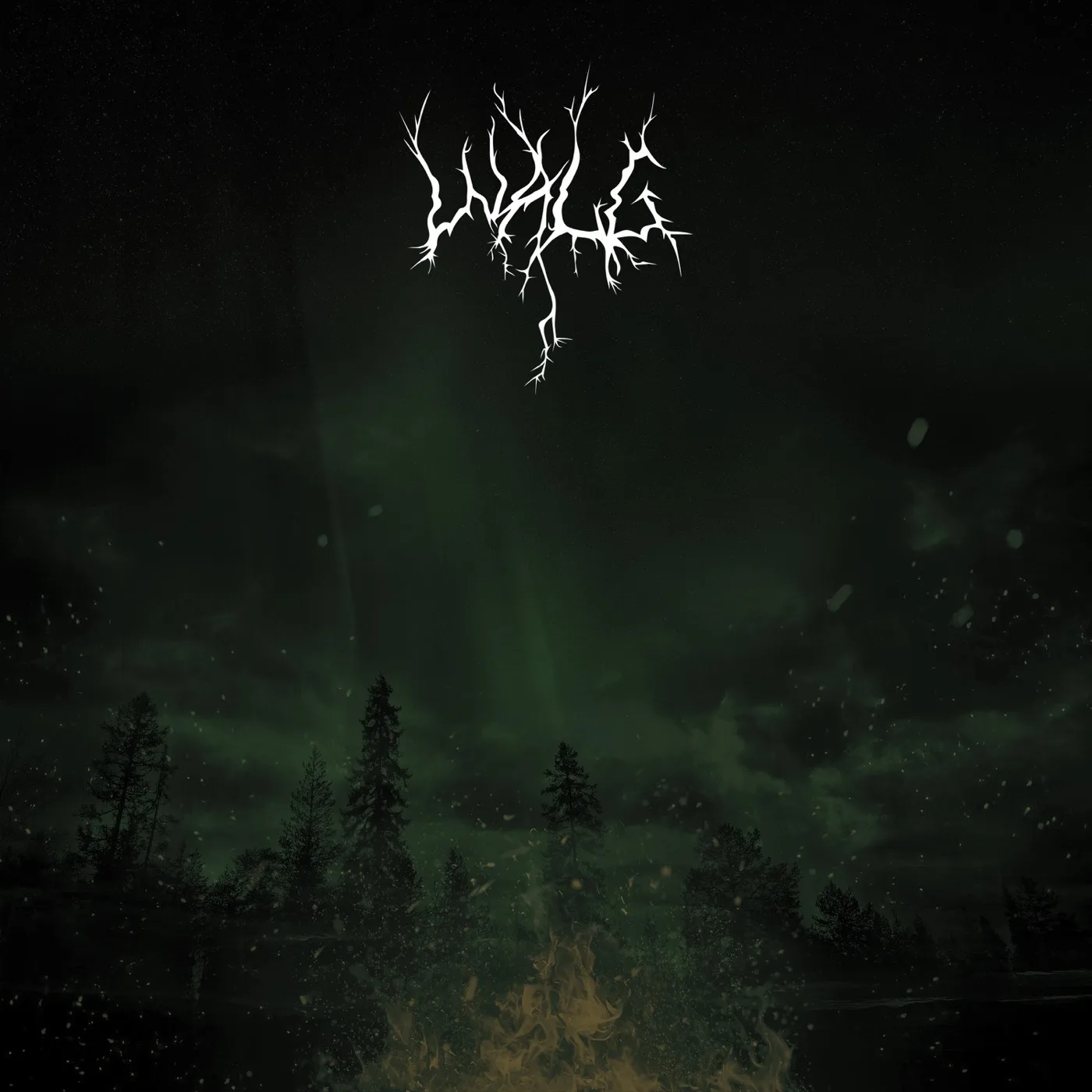 Official album cover art for the release Walg by Walg