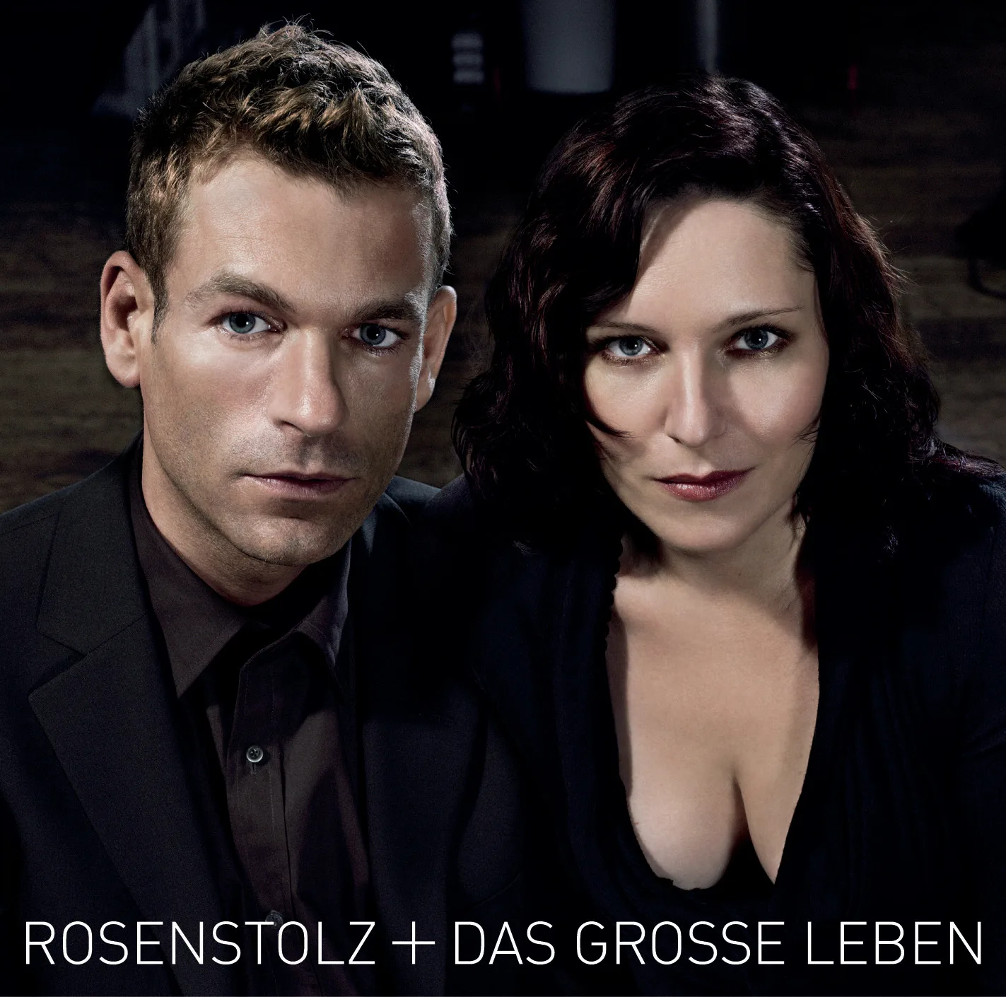 Official album cover art for the release Das große Leben by Rosenstolz