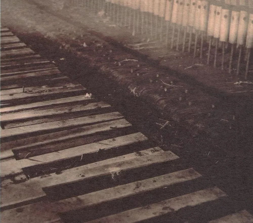 Official album cover art for the release Shock Me by Red House Painters
